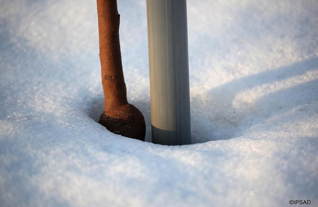 Fizyczne (abiotyczne) podlegają prawom fizycznym i związane są między innymi z wartością oddziaływującej temperatury. Są one dominujące.