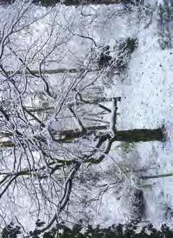Zwraca to uwagę na konieczność podchodzenia z szacunkiem do wszystkich przejawów życia (co zresztą nakazuje Konwencja o różnorodności biologicznej), bo nie wiemy czy z każdym utraconym gatunkiem, a