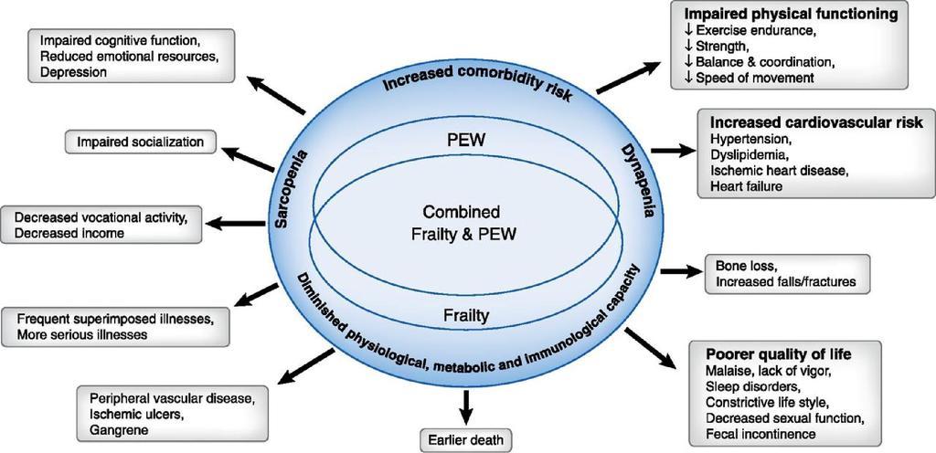 Clinical consequences of frailty and protein-energy wasting in elderly patients with end stage