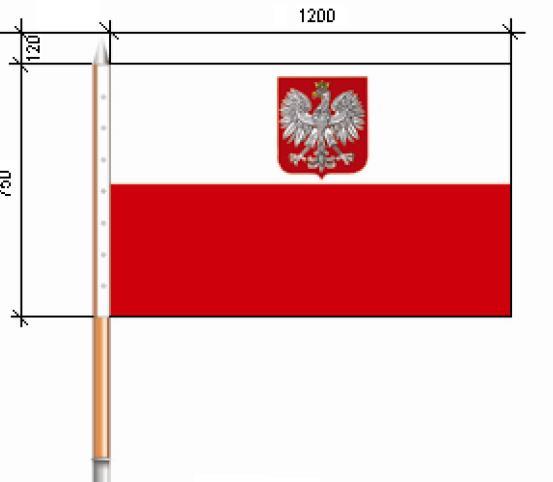 W poczcie sztandarowym flaga narodowa USA i flaga biało-czerwona Rzeczypospolitej obszyte złotymi frędzlami, po prawej niebieski proporzec (guidon) pododdziału US Air Force.