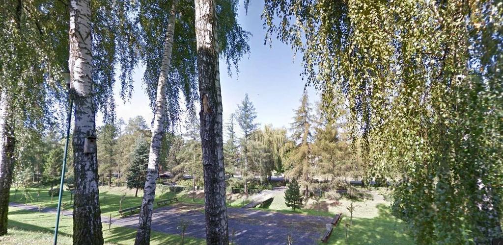 skarpa. Ryc. 2 Widok alei głównej od północnej strony promenady. Większość ścieżek w Parku to nawierzchnie asfaltowe. Ich stan jest niezadowalający.
