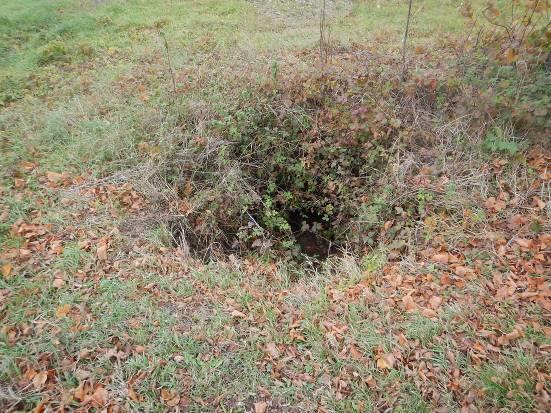 WYKAZ OBIEKTÓW INŻYNIERYJNYCH Z OPISEM STANU ISTNIEJĄCEGO OPIS Widok wlotu