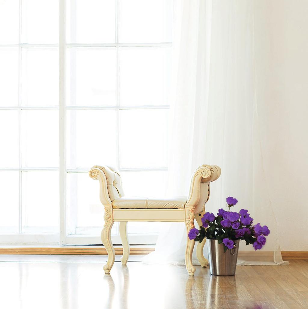 Professional Cleaning by Souvre