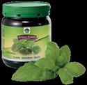 PAŚCIE 480G 