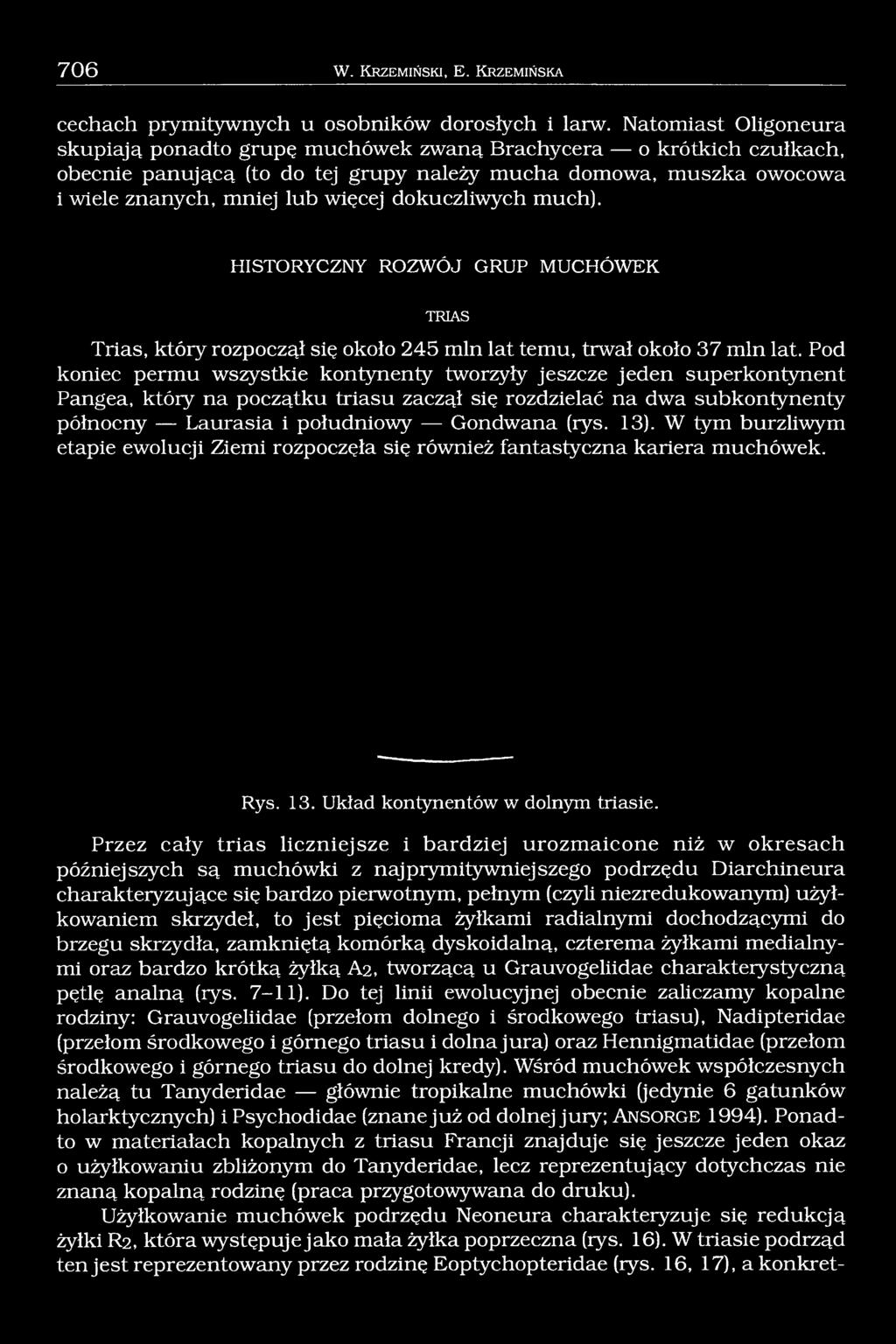 dokuczliwych much). HISTORYCZNY ROZWÓJ GRUP MUCHÓWEK TRIAS Trias, który rozpoczął się około 245 min lat temu, trwał około 37 min lat.