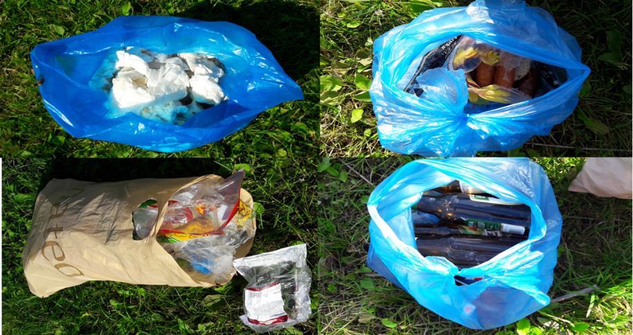 Podczas badania wyróżniono sześć grup morfologicznych odpadów: papier, szkło, tworzywa sztuczne, odpady organiczne, metal oraz inne (rys. 3).