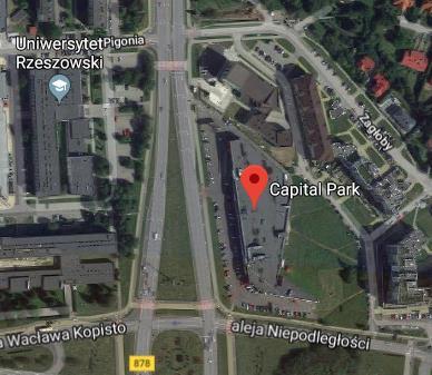 Na analizowanym obszarze występują tylko gatunki drzew liściastych (tabela 1), z których większość nadaje się do usunięcia. Tabela 1. Wykaz istniejących gatunków Lp.