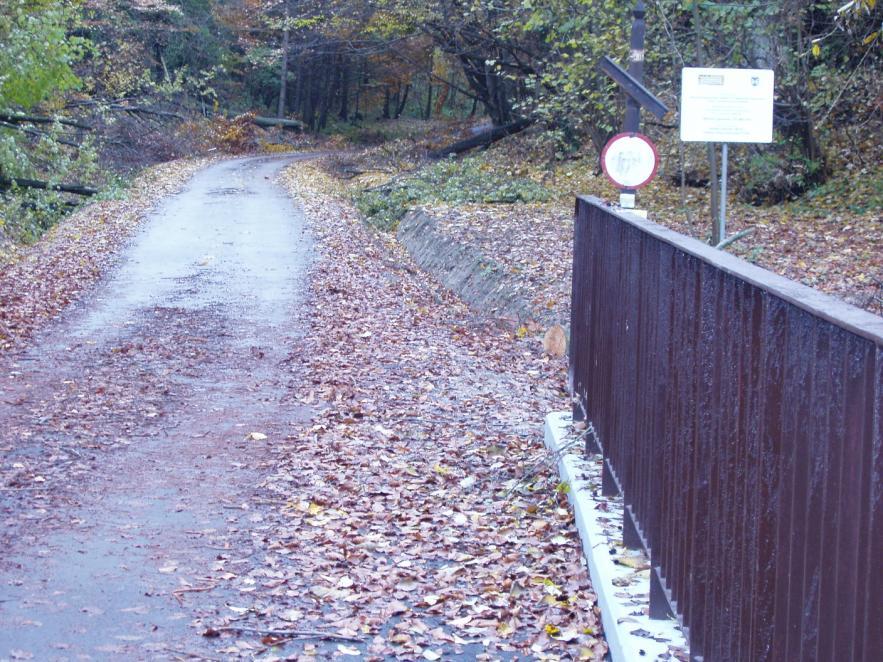 Remont mostu i drogi do Sokolca Zadanie zrealizowano w 2009r. w ramach NPPDL Wartość zadania 275,8 tys.