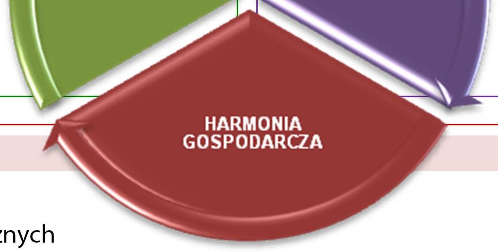 przygotowania i realizacji projektów rozwojowych.
