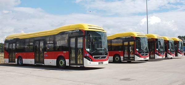 Była to nie tylko największa w Polsce dostawa autobusów CNG do jednego operatora, ale również największa tego rodzaju dostawa autobusów MAN CNG. Jesienny sprint Autobusy lubią kaprysić.