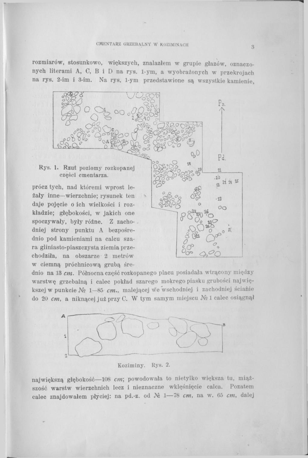 CMENTARZ GRZEBALNY W KOZIMINACH 3 rozmiarów, stosunkowo, większych, znalazłem w grupie głazów, oznaczonych literami А, С, В i D na rys. 1-ym, a wyobrażonych w przekrojach na rys. 2-im i 3-im. Na rys.