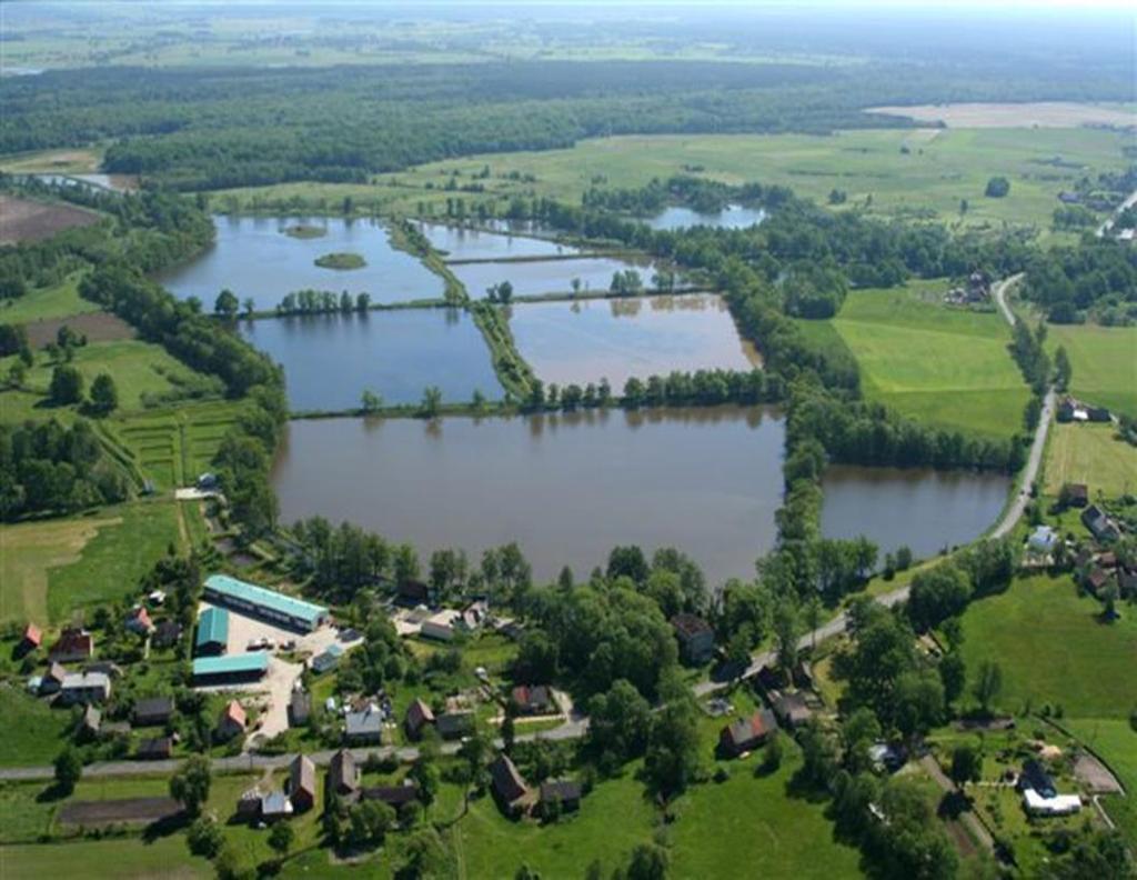 Zasady rejestracji W przypadku gdy gospodarstwo rozmieszczone jest na