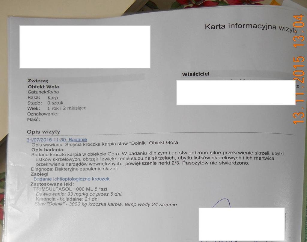 Karta