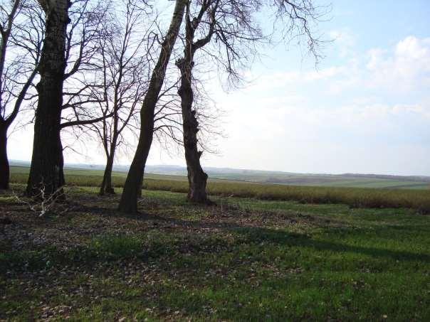 29 Zdjęcie 13