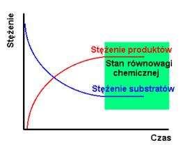 Stan równowagi dynamicznej - Odwracalność reakcji chemicznych Dla określenia, że dana reakcja osiąga w danych warunkach stan równowagi stosuje się w równaniach