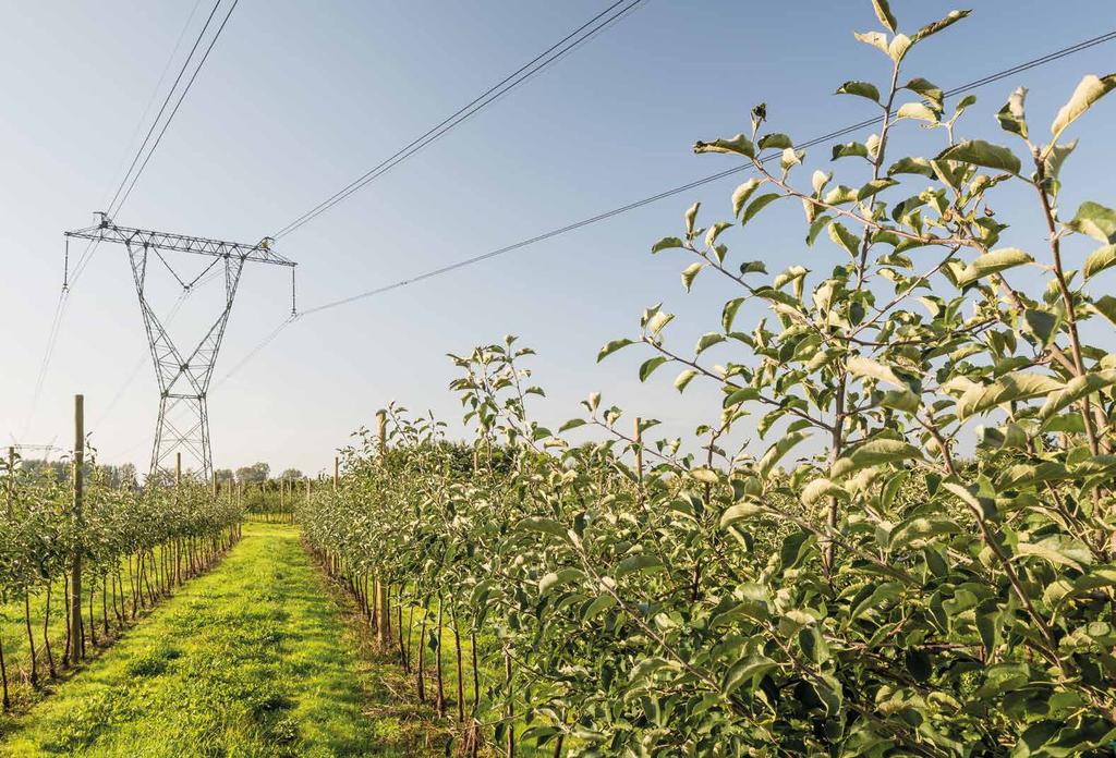 INNOWACYJNOŚĆ I ELEKTROMOBILNOŚĆ PSE, LINIA 220 kv Rozwój poprzez innowacje BRANŻA ENERGETYCZNA OD LAT STOI PRZED LICZNYMI WYZWANIAMI CYWILIZACYJNYMI I RYNKOWYMI.
