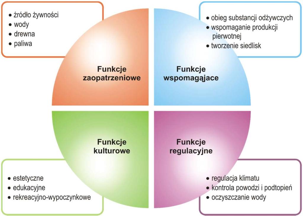 Usługi ekosystemów