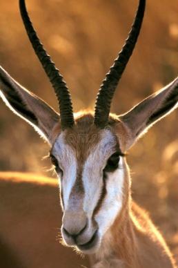 Miasto Mariental położone jest w południowo-centralnej Namibii, na obrzeżach Pustyni Kalahari, i jest I DZIEŃ 25.09.