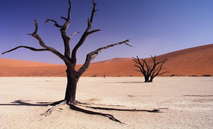 Namib w języku nama oznacza "olbrzymi", a w innym tłumaczeniu "miejsce gdzie nic nie ma". Od tego słowa pochodzi nazwa Namibii.
