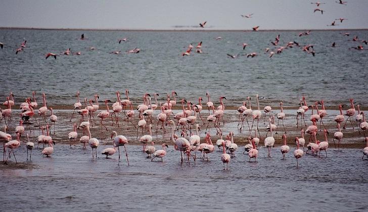 Gigantyczne wydmy biegną prosto do oceanu, tworząc zapierające dech w piersiach krajobrazy!