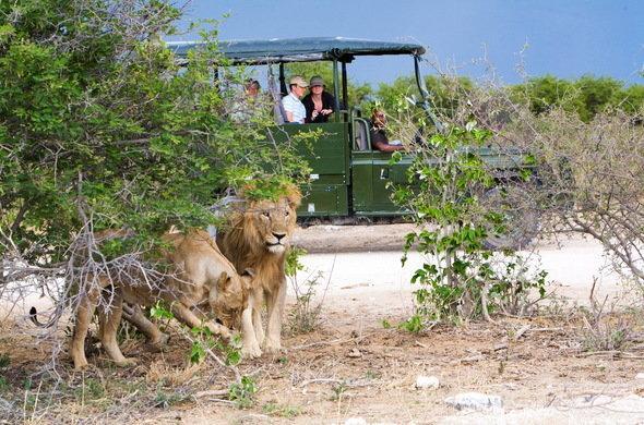 2019 -Śniadanie w Lodge / Wykwaterowanie -Przejazd w kierunku Etosha (4h00) - Wizyta w Otjikandero Himba Village - Zakwaterowanie / Lunch w Lodge -