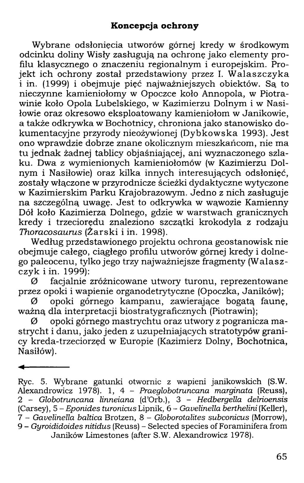 Koncepcja ochrony Wybrane odsłonięcia utworów górnej kredy w środkowym odcinku doliny Wisły zasługują na ochronę jako elementy profilu klasycznego o znaczeniu regionalnym i europejskim.
