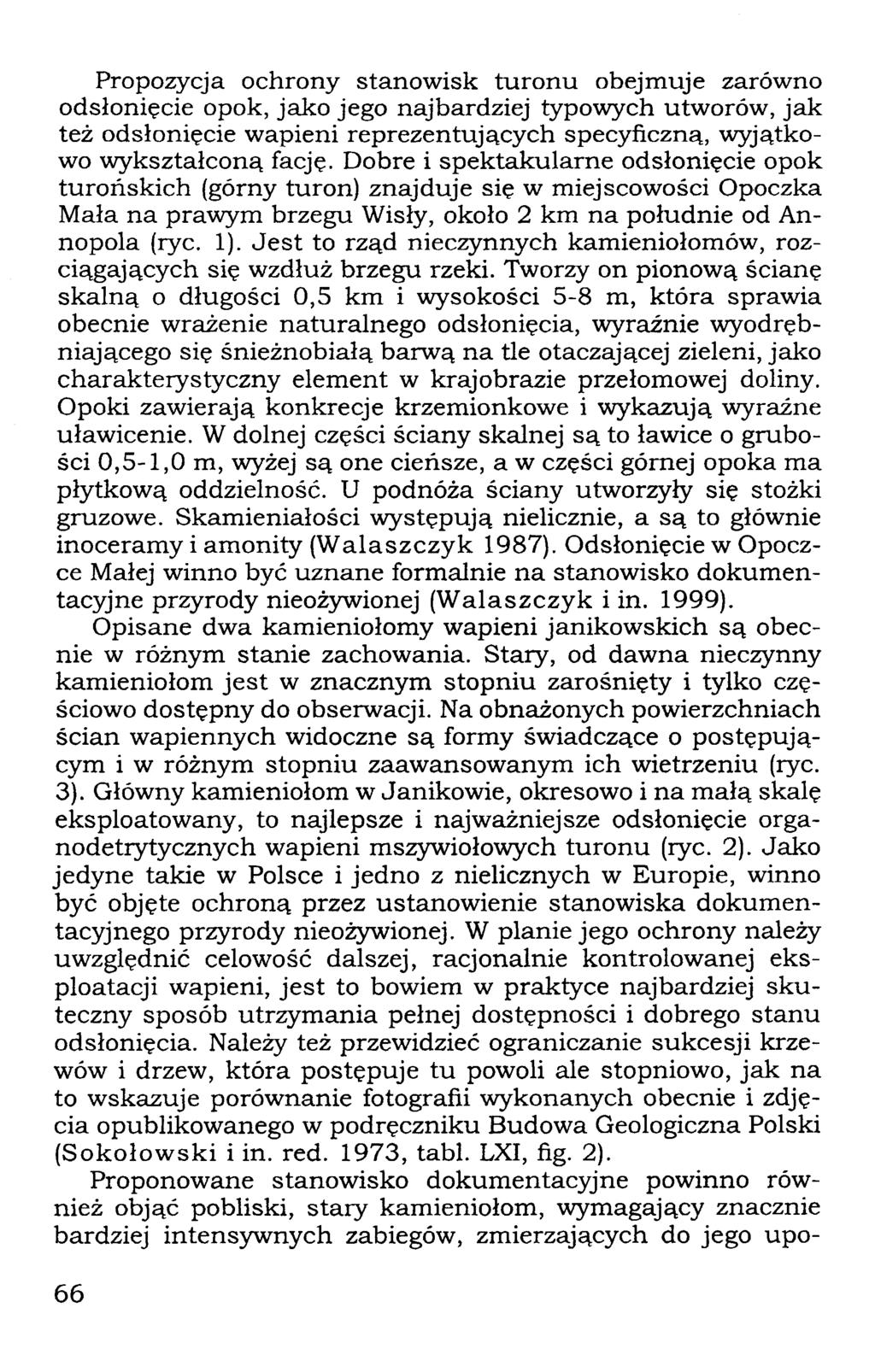 Propozycja ochrony stanowisk turonu obejmuje zarówno odsłonięcie opok, jako jego najbardziej typowych utworów, jak też odsłonięcie wapieni reprezentujących specyficzną, wyjątkowo wykształconą fację.