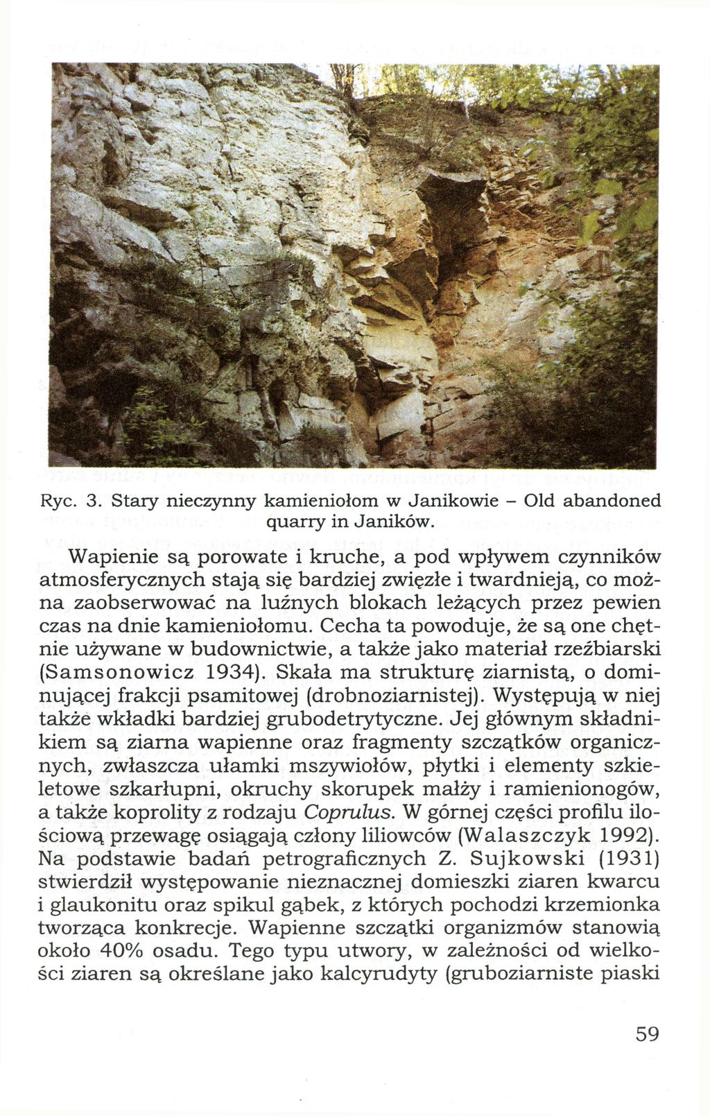 Rye. 3. Stary nieczynny kamieniołom w Janikowie - Old abandoned quarry i n Janików.