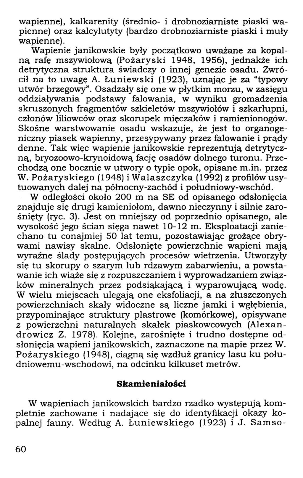 wapienne), kalkarenity (średnio- i drobnoziarniste piaski wapienne) oraz kalcylutyty (bardzo drobnoziarniste piaski i muły wapienne).