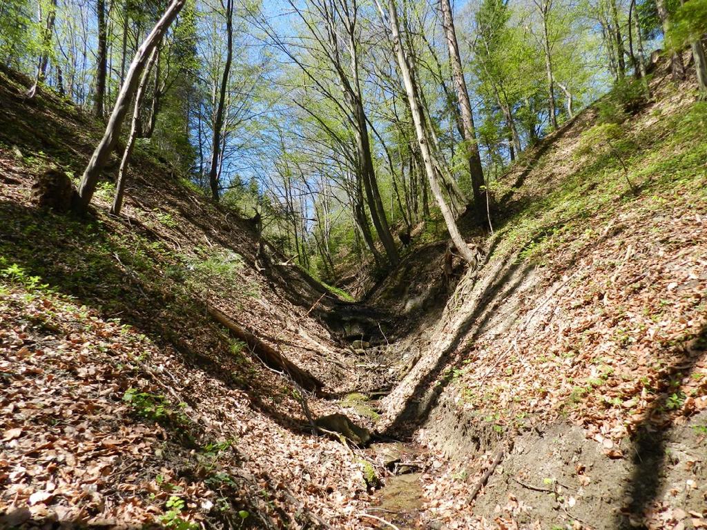 deszczowe i roztopowe i tym różnią się od żlebów wyciętych w skale.