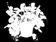 kod 454558 4,95-0%,97/szt.