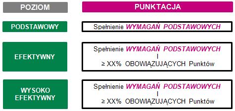 Krok 2: ocena każdego z obszarów Efektywność osiągnięta dla poszczególnych obszarów jest punktowana od 0 do 4.