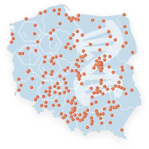 Testowanie produktów Szkoły w Projekcie 250 szkół z całej Polski: 126 szkół podstawowych (I i II etap); 68