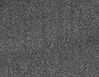 Concentrtion profiles of,,, nd (wt %) in the cld long the line running cross dendrite cores końcowym etpie procesu