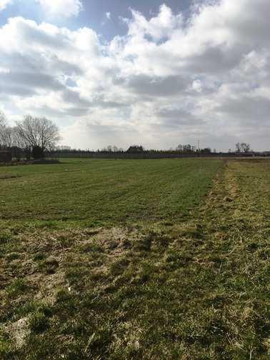 Zdjęcia 3-5 Przedmiotowa nieruchomość, działka nr 45/2 Stan usług zaplecza bytowego i komunikacji Obszar, na