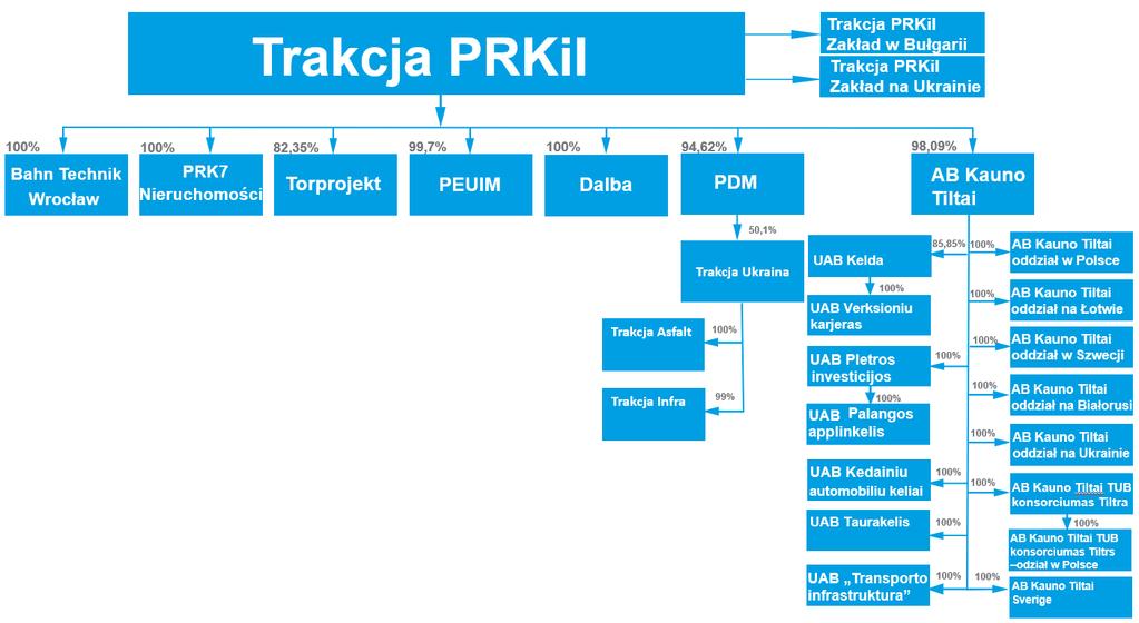 Struktura kapitałowa Grupy