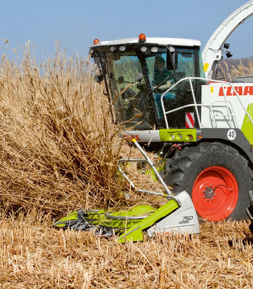 Zbiór miskantu Gwarancja lepszych żniw. CLAAS Polska Sp. z o.o. ul. Świerkowa 7 Niepruszewo 64-320 Buk Tel.