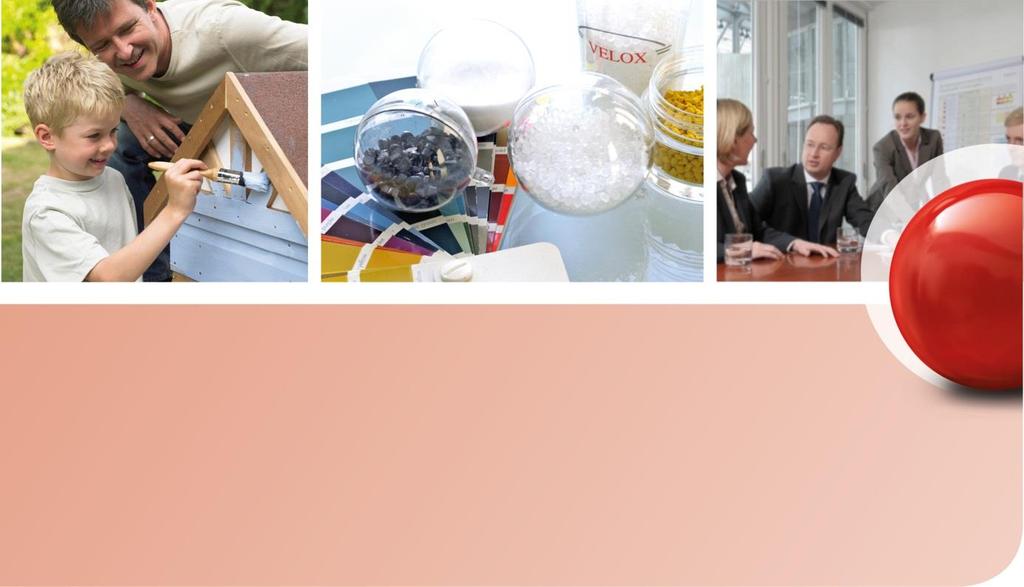 Program handlowy CASE Coatings, Adhesives, Sealants, Elastomers POLSKA Spis treści Surowce do farb, lakierów, klejów i
