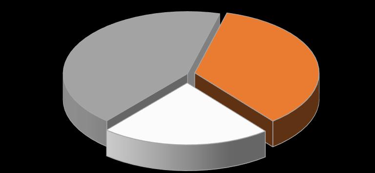 Poniższe wykresy przedstawiają strukturę geograficzną sprzedaży Grupy w latach 2017 i 2016 (dane wg miejsca dostawy).