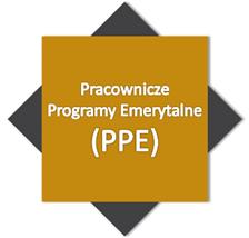 20 20 odsłon PPE PPE vs vs PPK PPK Oferta doradztwa w zakresie PPE/PPK W przypadku konieczności podjęcia przez danego pracodawcę decyzji o wyborze, jako preferowanej formy, świadczenia PPE albo PPK,