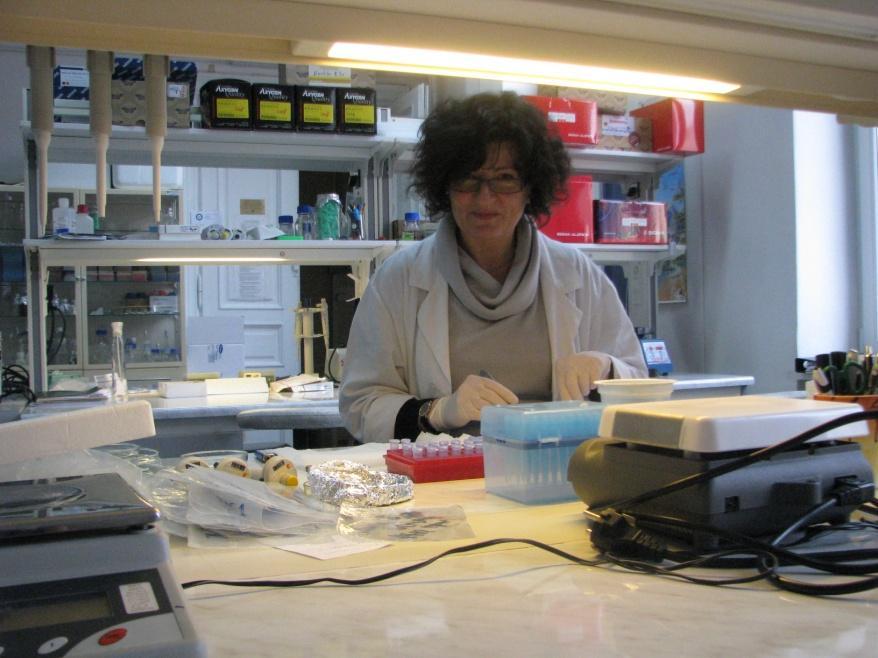 dr Beata Dulisz 13-26.03. 2011, krajowy, 2 tygodniowy, 27.08-25.09.
