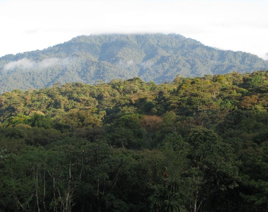 Yanayacu Biological Station and Center for