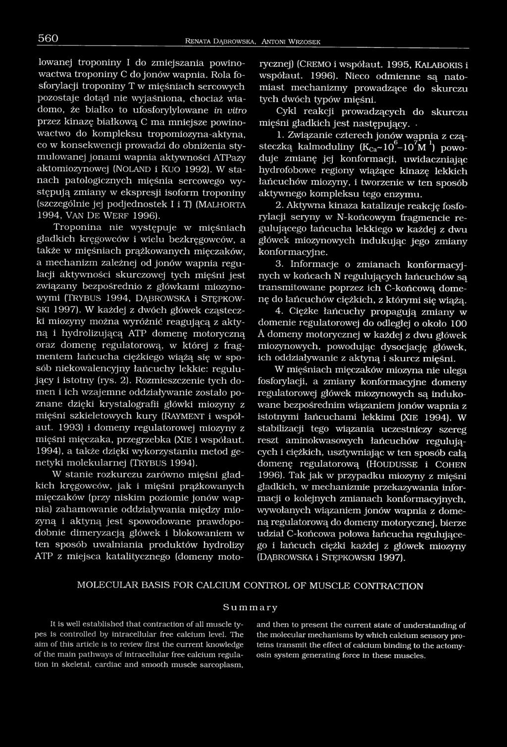 kompleksu tropomiozyna-aktyna, co w konsekwencji prowadzi do obniżenia stymulowanej jonami wapnia aktywności ATPazy aktomiozynowej (NOLAND i KU O 1992).