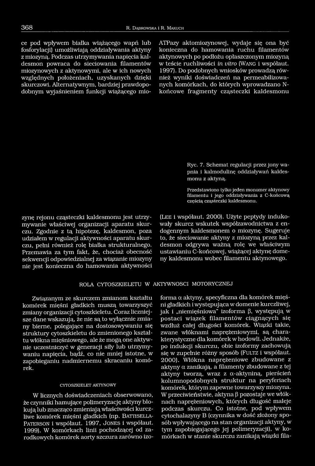 Alternatywnym, bardziej prawdopodobnym wyjaśnieniem funkcji wiążącego mio- ATPazy aktomiozynowej, wydaje się ona być konieczna do hamowania ruchu filamentów aktynowych po podłożu opłaszczonym miozyną