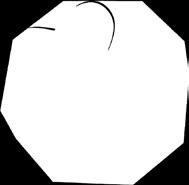 ser Nasz Camembert 120