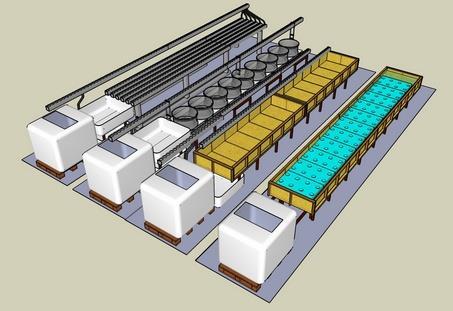 Cztery podstawowe systemy upraw roślin w akwaponice aquaponics.