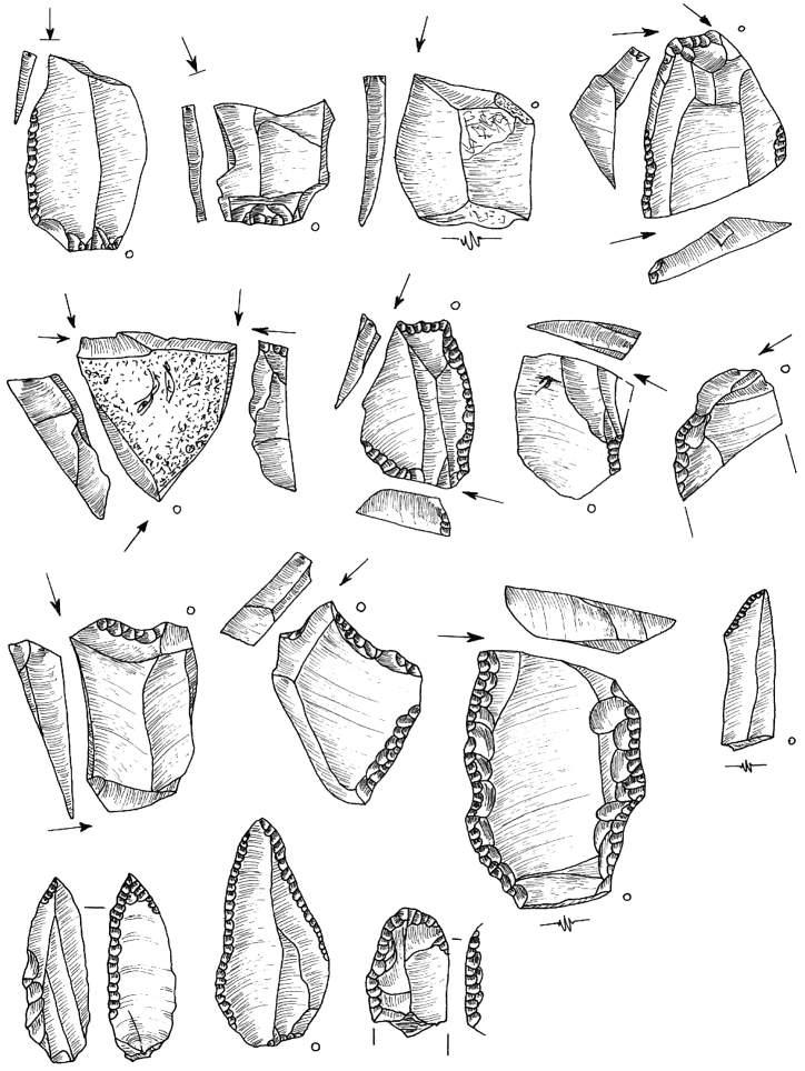 Ryc. 38. Bolków 1, wykop III, krzemienica 3. Rys. T. Galiński 1 11 rylce; 12 półtylczak; 13 wiertnik; 14 pazur; 15 fragment narzędzia Fig. 38. Bolków 1, trench III, flint scatter 3.