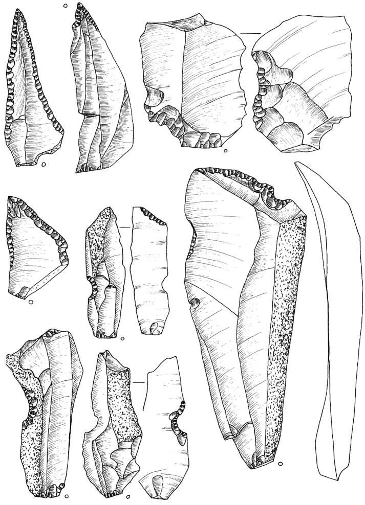 Ryc. 39. Bolków 1, wykop III, krzemienica 3. Rys. T. Galiński 1, 2, 4 pazury; 3, 5 8 narzędzia wnękowe Fig. 39. Bolków 1, trench III, flint scatter 3.