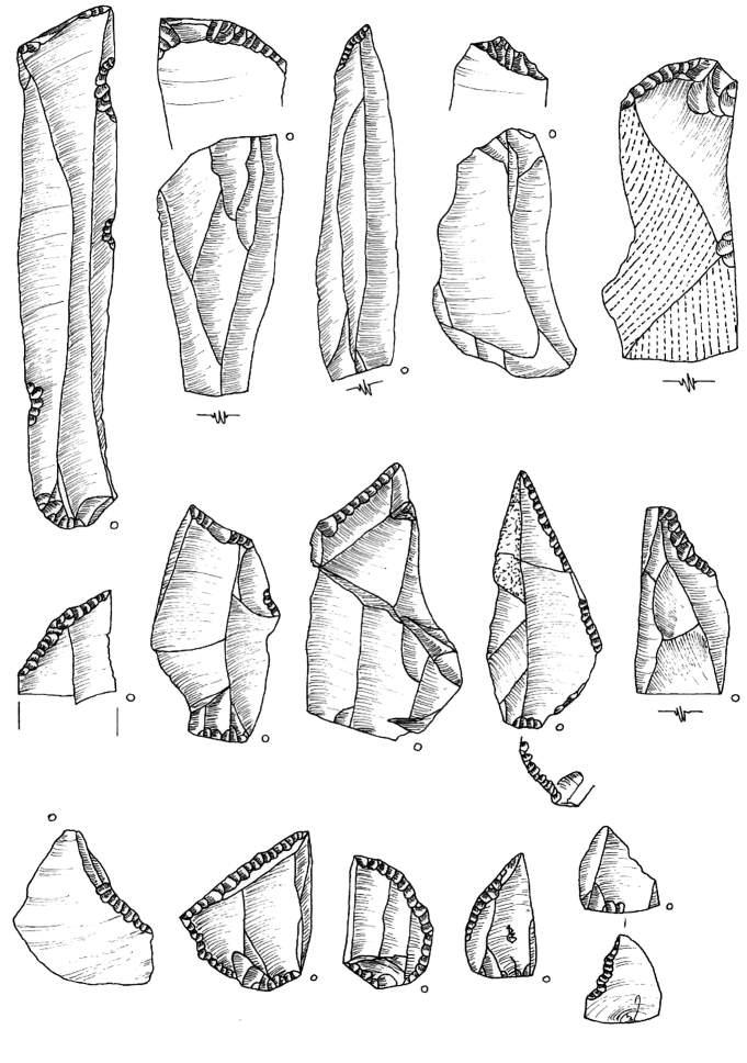 Ryc. 40. Bolków 1, wykop III, krzemienica 3. Rys. T. Galiński 1 9 półtylczaki; 10 15 mikropółtylczaki Zonhoven Fig. 40. Bolków 1, trench III, flint scatter 3.