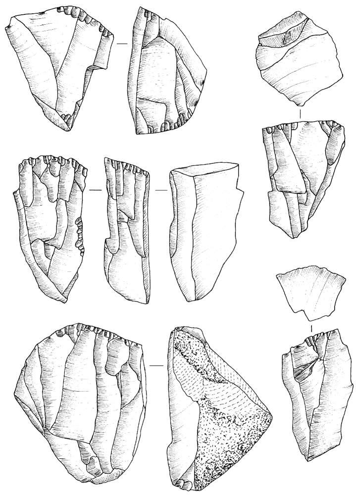 Ryc. 11. Bolków 1, wykop II, krzemienice 1 i 2. Rdzenie. Rys. T. Galiński Fig.